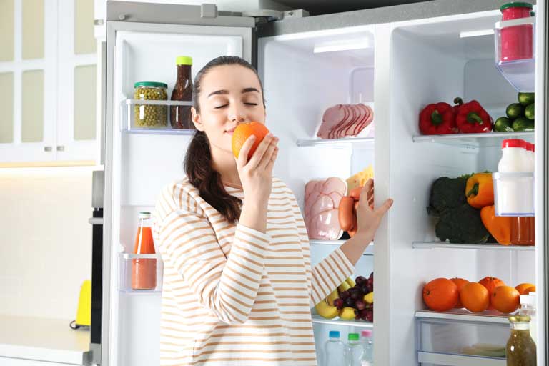 Residential refrigerator repair service in Sarasota, FL